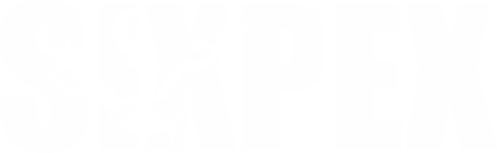logo light